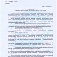 ЗАКЛЮЧЕНИЕ ПАО (1)